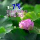 안심창조밸리 천천둘레길 이미지