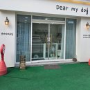 디어마이독 이미지