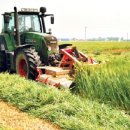 중우축산 이미지