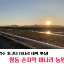 양동농원