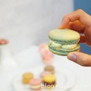 루나카롱 이미지