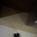 수선화사주카페