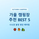 수성구민운동장역 하부(교통섬) | 가을 캠핑장 추천 BEST 5 | 수도권 불멍 명당 예약법