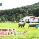 은하목장 이미지