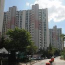 늘푸른태권스쿨 이미지