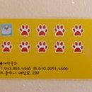 예쁘개&사랑스럽개 이미지