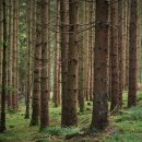 주식회사 세상 이미지