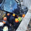 도현의원 이미지