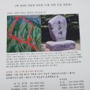 184회 산들 벗 11월 10일 순창 강천산 이미지