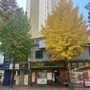 국수나무 대구수성만촌점 | 고봉김김밥인 대구만촌점 ㅡ 만촌동김밥집 수성구김밥맛집 매콤어묵김밥 포장 후기