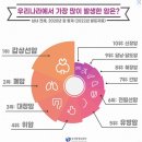 연세샘유영상의학과의원 | 1. 갑상선 &amp; 유방 초음파 검사 후기, 세침검사, 비용