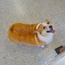 르네펫살롱 이미지