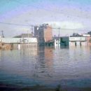 72년 서울 대 홍수 이미지