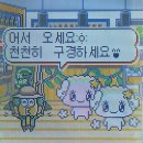 도이프 | 4월 / 터벅터벅 나의 일상