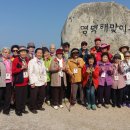 소풍 Daum카페