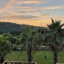 클로버비앤비 이미지