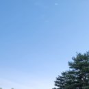 수원-0514 이미지