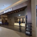 아쿠아필드 고양 이미지