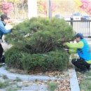 경기시민정원사협동조합