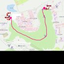 192차 야간산행 11월3일 목요일 (금당산) 이미지