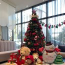 슈페리어 | 경주 시티 호텔 아기랑 슈페리어 트윈 후기