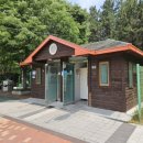 사파동155 이미지