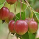 군북면공설운동장 이미지