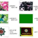 운남초교 이미지