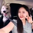 GS25하단사하점 | 사하구 무료 애견놀이터 하단 [애견펫공원] 뛰뛰 후기 ʚ♡ɞ _ 또또또또또간집~