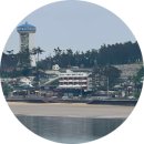 만리포니아 이미지