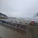 동호 | 양양 오션뷰 카페 달파도 동호해변 앞 아기동반 내돈내산 후기