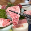 광주참치회초밥어울림오치