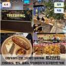 트리피컬 | 청주 근본 대장카페 대형 베이커리카페 트리브링