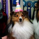 아이샤의 두 번째 한 살 생일파티