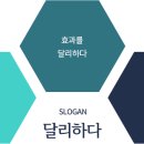 달리아에스테틱(반포점) 네이버블로그