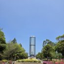 (주)한국코타콘도미니엄 | 코타키나발루 4월 3박 5일 여행 후기 (3~4일차) / 3인 여행 맛집 추천 / 코타비오비 시티 투어 반딧불 투어