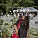 사랑농장 | 야외웨딩 포항 비손농장 결혼식 하객 후기