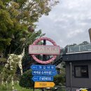 [대전] 가족과 함께 하기 좋은 브런치 카페 ‘비래키키’
