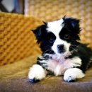 웅이목장 이미지