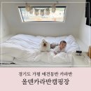 가평카라반 추천ㅣ올덴카라반캠핑장 애견 동반 후기