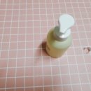 어메이징펫 이미지