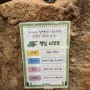 도구로 128-4 | 시흥 아이랑 갈만한 곳 쥬뗌므 키즈랜드 키즈카페가 같이 있는 실내동물원 후기