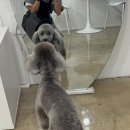 또또살롱 이미지