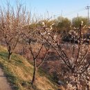 지천생태공원 이미지