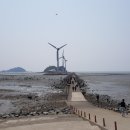 리틀미코노스5 이미지