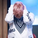 핑크콩