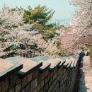 율하체육공원 생태연못 이미지