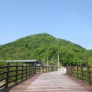 성산테크 Daum카페