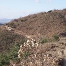 용미1리 이미지