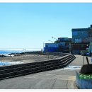 블루코스 이미지